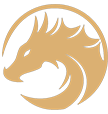 Logo Dragon Soft